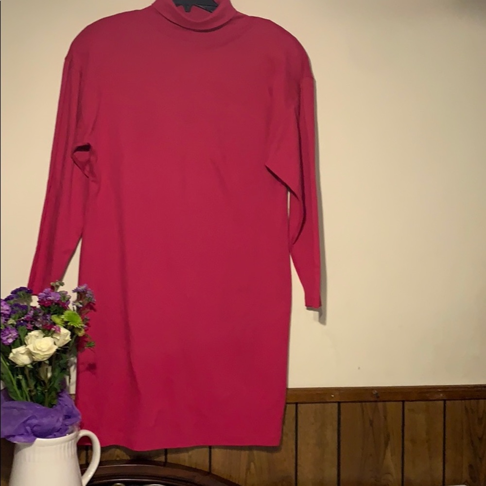 Beautiful Pink Turtle Neck Dress
